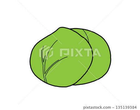 Cabbage icon Cabbage icon 135139384