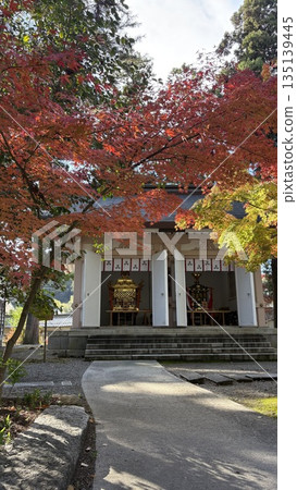漫步於大近江神社的秋葉之中。 漫步於大近江神社的秋葉之中。 135139445