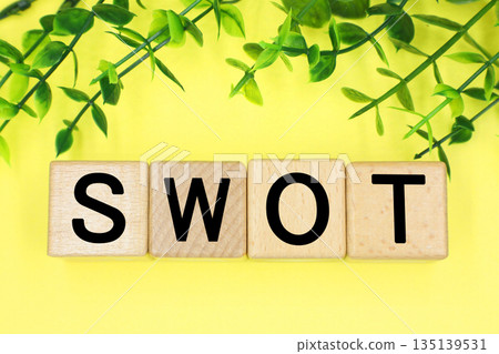 SWOT analysis image SWOT analysis image 135139531