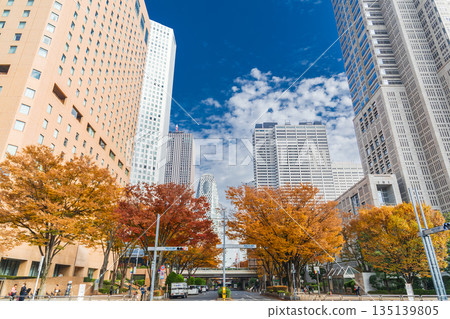 新宿區西新宿的「東京」秋景 135139805
