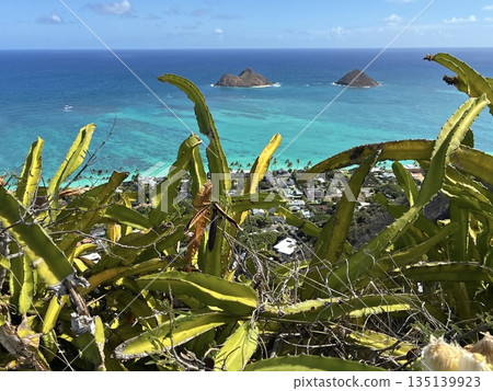 從夏威夷拉尼凱碉堡步道看到的景色 135139923