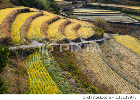 Nakayama Senmaida, one of Japan's 100 best rice terraces 135139975