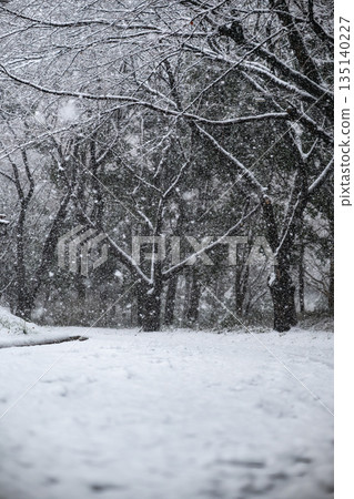 寂靜的銀色世界和白雪皚皚的地面 135140227