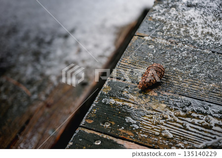 潮濕的木甲板上散落著松果和積雪。 135140229