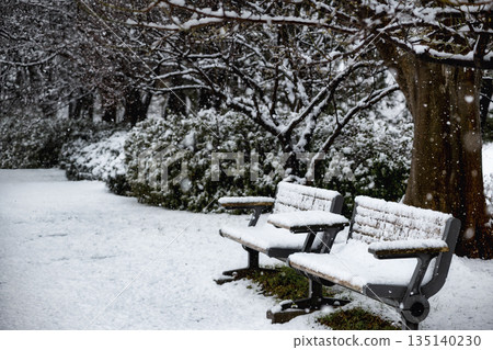 雪中的孤零零的長椅和皚皚白雪。 雪中的孤零零的長椅和皚皚白雪。 135140230
