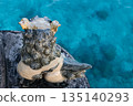 Okinawa's Shisa and emerald blue sea 135140293