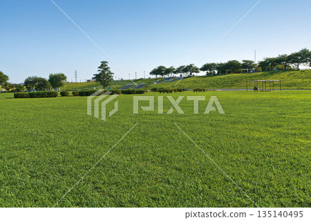 江戶川（柴又公園） 135140495