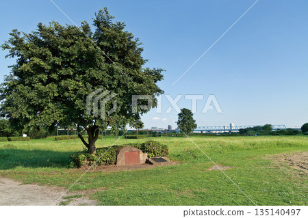 Edogawa River (Shibamata Park) 135140497