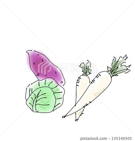 Vegetable set illustration, food ingredients, hand-drawn, cooking ingredients, sweet potato, cabbage, radish Vegetable set illustration, food ingredients, hand-drawn, cooking ingredients, sweet potato, cabbage, radish 135140505