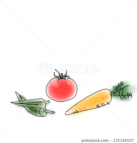 Simple food illustrations | Vegetables, tomatoes, okra, and carrots 135140507