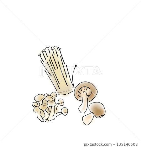 蘑菇套圖:手繪烹飪食材(金針菇、蟹味菇、香菇) 蘑菇套圖:手繪烹飪食材(金針菇、蟹味菇、香菇) 135140508