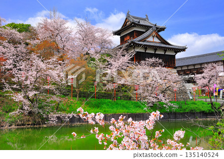 [Nara Prefecture] Koriyama Castle on a clear day and cherry blossoms in full bloom (Otemuki Yagura) 135140524