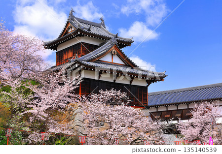[Nara Prefecture] Koriyama Castle on a clear day and cherry blossoms in full bloom (Otemuki Yagura) 135140539
