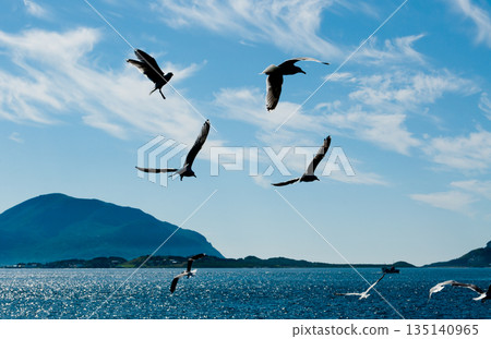 Svartisen glacier in Norway, Scandinavia 135140965