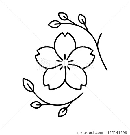 Simple cherry blossom line icon Simple cherry blossom line icon 135141398