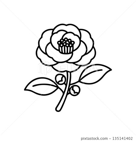 Simple camellia line drawing icon Simple camellia line drawing icon 135141402
