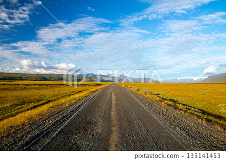在北歐島國冰島,一條筆直的道路一直延伸到地平線。 在北歐島國冰島,一條筆直的道路一直延伸到地平線。 135141453