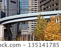 A cityscape of yellow-leafed ginkgo trees, a highway bridge, and skyscrapers A cityscape of yellow-leafed ginkgo trees, a highway bridge, and skyscrapers 135141785