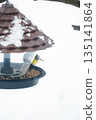 A titmouse eats seeds and bird food from a plastic feeder, against a snowy background, close-up 135141864