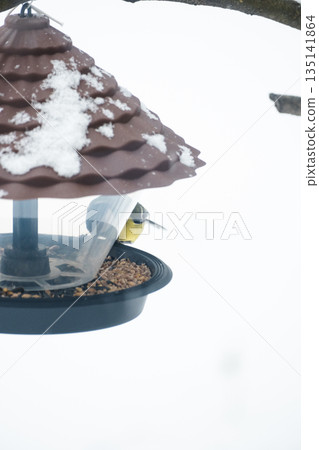 A titmouse eats seeds and bird food from a plastic feeder, against a snowy background, close-up A titmouse eats seeds and bird food from a plastic feeder, against a snowy background, close-up 135141864