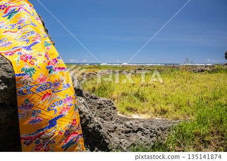 沖繩的海岸線和紅形 135141874