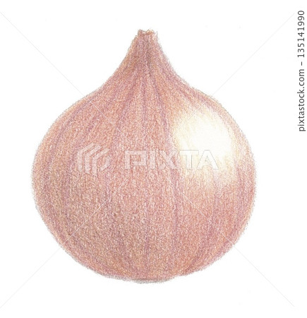 蔥 135141990