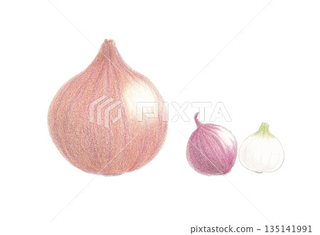 洋蔥、紫洋蔥、白洋蔥 洋蔥、紫洋蔥、白洋蔥 135141991