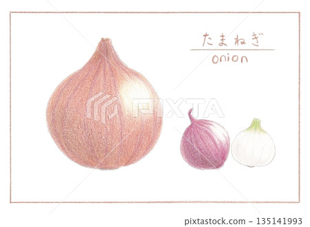 洋蔥、紅洋蔥、白洋蔥（標題） 135141993