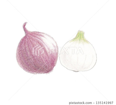Purple and white onions Purple and white onions 135141997