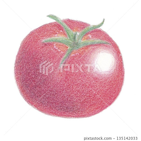 明亮的紅番茄 135142033