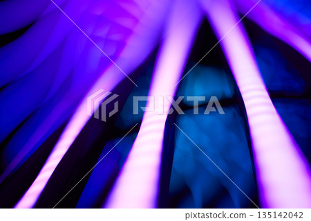neon, circle, background 135142042