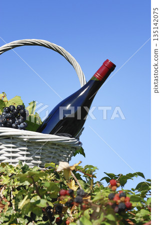 bottle of red wine bottle of red wine 135142075