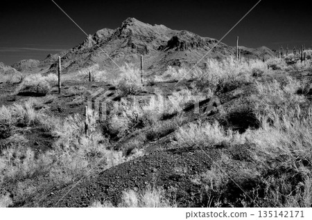 Monochrome Sonoran Desert Arizona Picacho Peak State Park 135142171