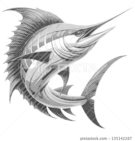 Detailed Blue Marlin Swordfish Engraving Illustration, Vintage Ocean Predator Fish Artwork for Logo, Tattoo, Marine Design, Sport Fishing Concept 135142287