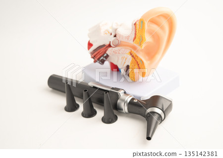 Otoscope with model for audiologist or ENT doctor use otoscope checking ear and treat hearing loss problem. 135142381