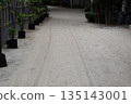 Scenery of a sandy road with wheel tracks Scenery of a sandy road with wheel tracks 135143001