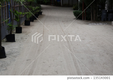 沙路沿途可見車輪印跡。 135143001