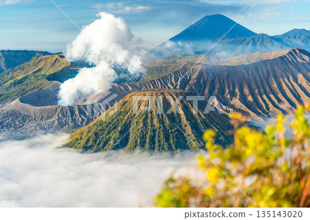 Mount Bromo volcano erupts with smoke and ash over a sea of clouds Mount Bromo volcano erupts with smoke and ash over a sea of clouds 135143020