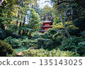 Japanese pagoda nestled in a lush green forest, a serene and spiritual landscape 135143025