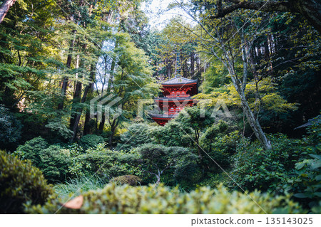 Japanese pagoda nestled in a lush green forest, a serene and spiritual landscape Japanese pagoda nestled in a lush green forest, a serene and spiritual landscape 135143025
