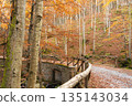 Fall foliage blankets a forest path and stone bridge, inviting peaceful exploration 135143034