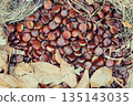 Freshly harvested chestnuts nestled with autumn leaves and straw, ready for roasting 135143035