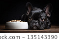 A poised black French Bulldog gazes longingly at a full bowl of food, lying on a dark wooden surface with a stark black background. A pet's dream come true. 135143390