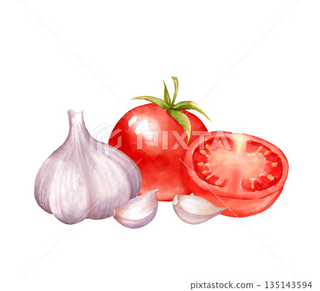 Hand-drawn illustration of tomato and garlic bulb with cloves. Design for restaurant menu header, recipe card or Italian food logo Hand-drawn illustration of tomato and garlic bulb with cloves. Design for restaurant menu header, recipe card or Italian food logo 135143594