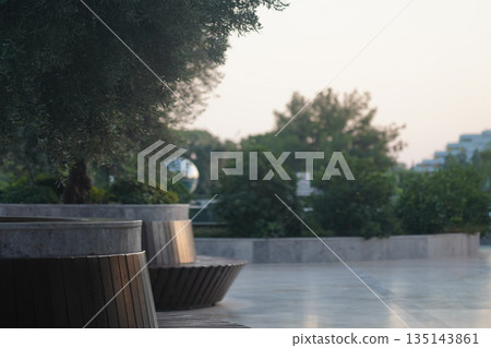 Serene Evening Landscape with Curved Benches Surrounded by Lush Greenery and Soft Natural Light 135143861