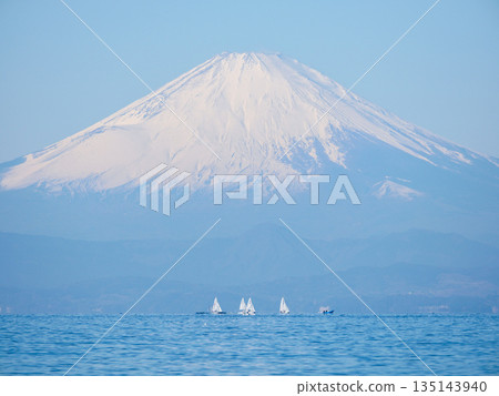 從葉山公園眺望相模灣的遊艇和白雪皚皚的富士山 從葉山公園眺望相模灣的遊艇和白雪皚皚的富士山 135143940