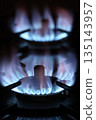Gas stove 135143957