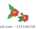 Simple camellia illustration 135144158
