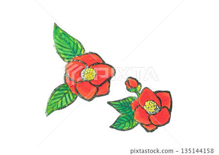 Simple camellia illustration Simple camellia illustration 135144158