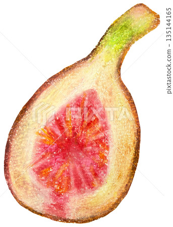 Fig cross section illustration oil pastel drawing Fig cross section illustration oil pastel drawing 135144165